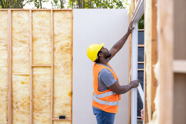 Best Spray Foam Insulation  in Monticello, MN