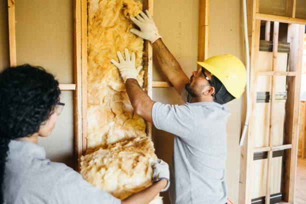 Best Insulation for New Construction  in Monticello, MN