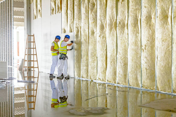 Insulation Repair Services in Monticello, MN